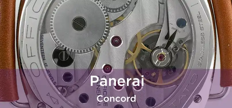 Panerai Concord